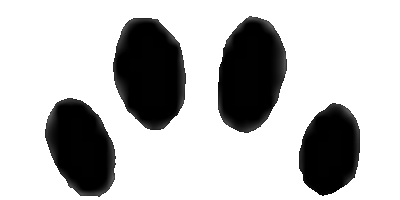 Toe Towers
